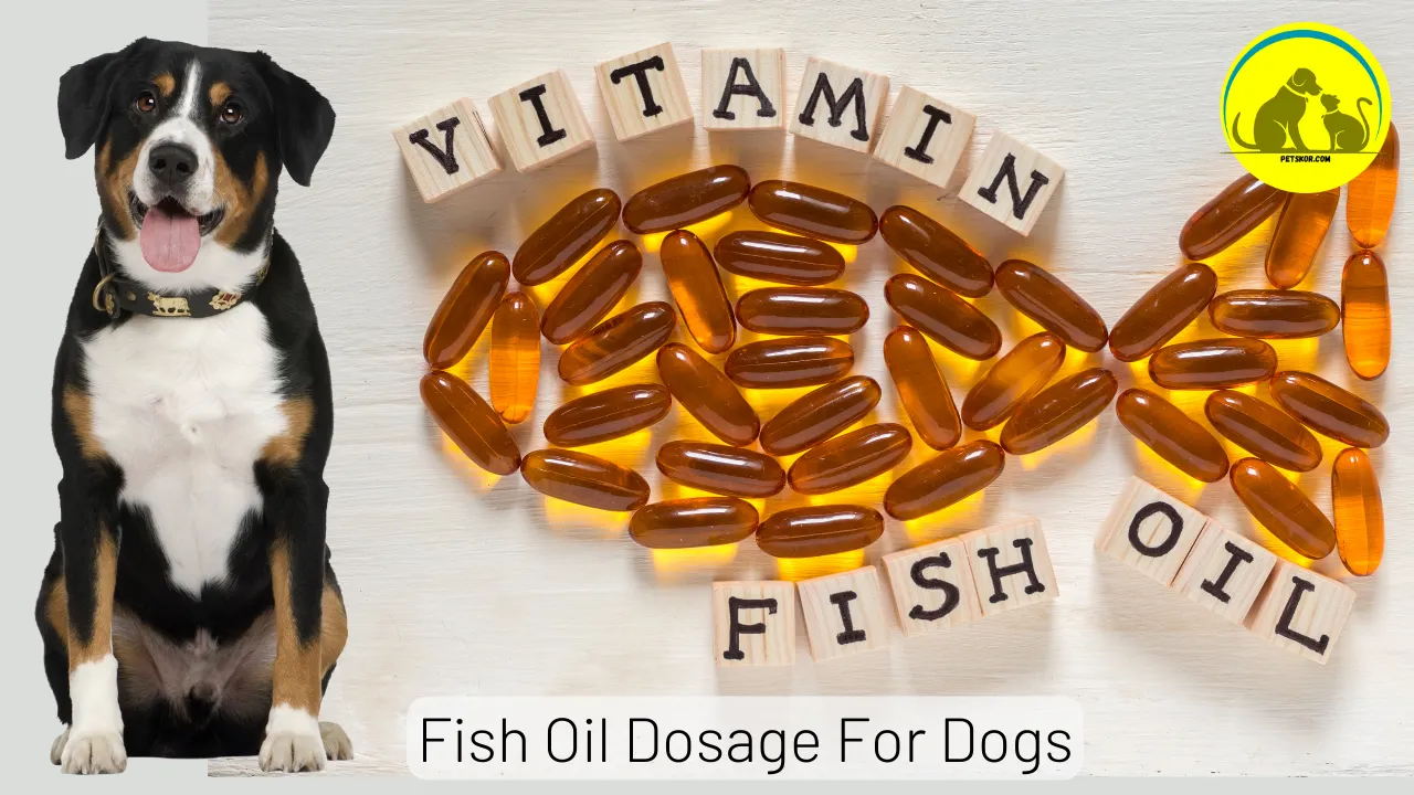 Fish Oil Dosage For Dogs: Ideal Dosage Chart By Weight