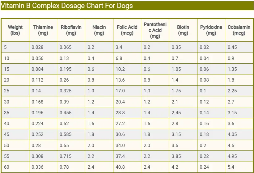Vitamin B Complex Dosage Chart For Dogs