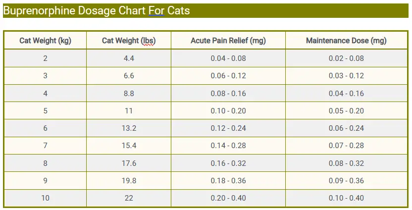 Buprenorphine Dosage Chart For Cats