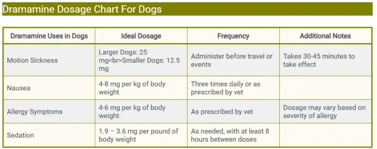 Dramamine Dosage For Dogs: Uses, Benefits & Side Effects