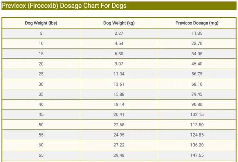 Previcox Dosage For Dogs: Uses, Benefits & Side Effects