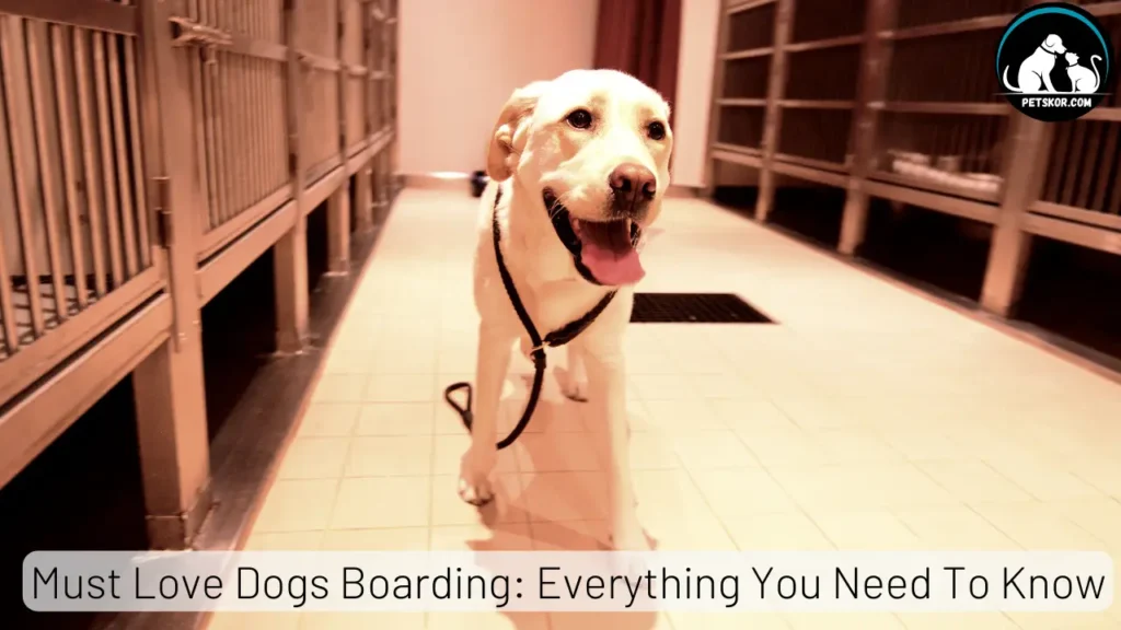Must Love Dogs Boarding