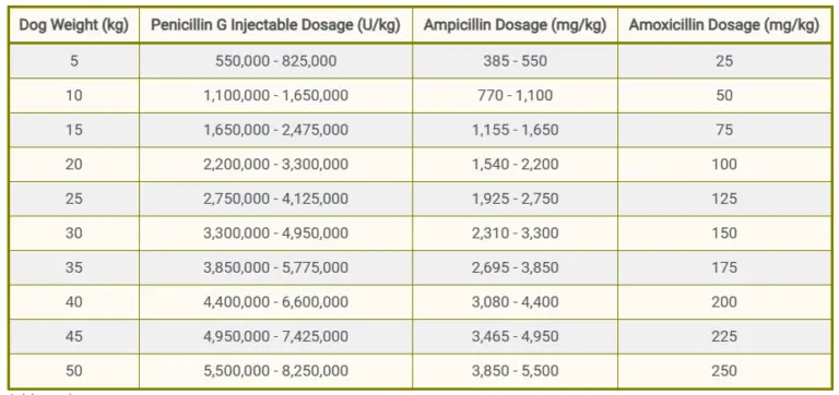 Penicillin For Dogs: Dosage, Uses, Benefits & Side Effects