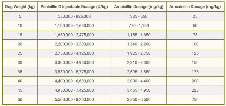 Penicillin Dosage Chart For Dogs By Weight