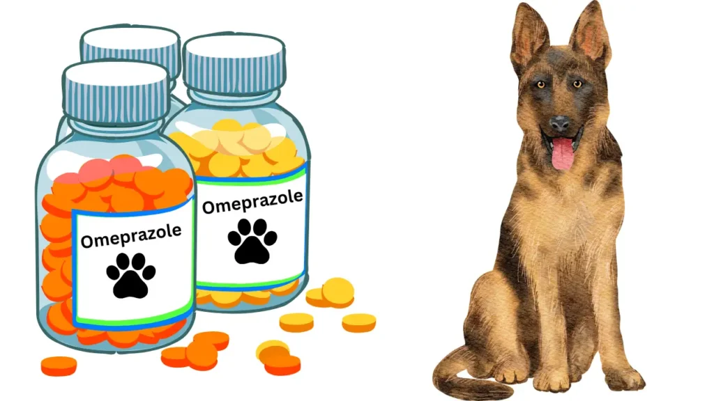 Omeprazole For Dogs