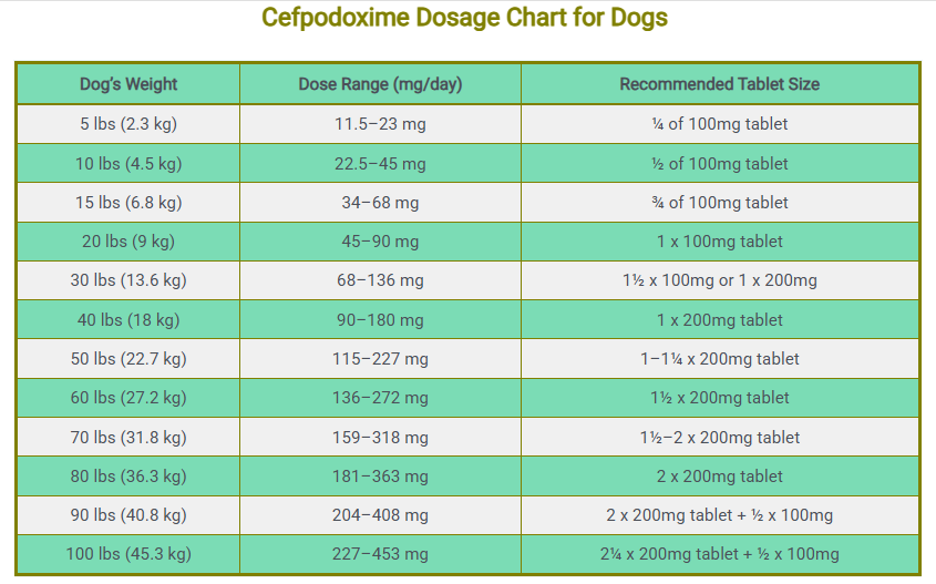 Cefpodoxime Dosage Chart for Dogs