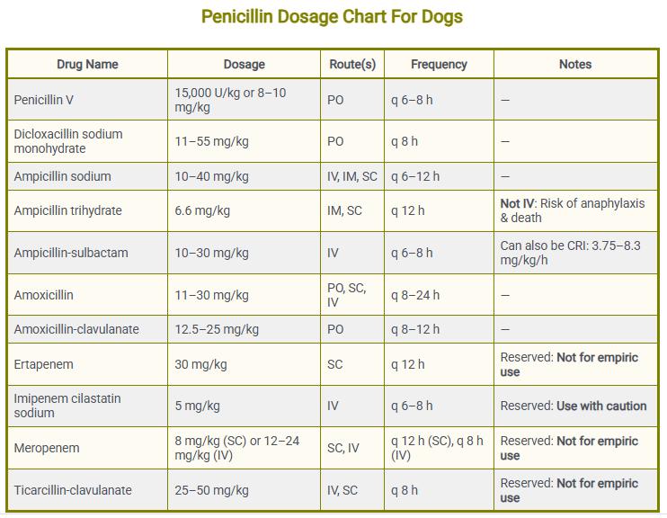 Penicillin Dosage Chart For Dogs