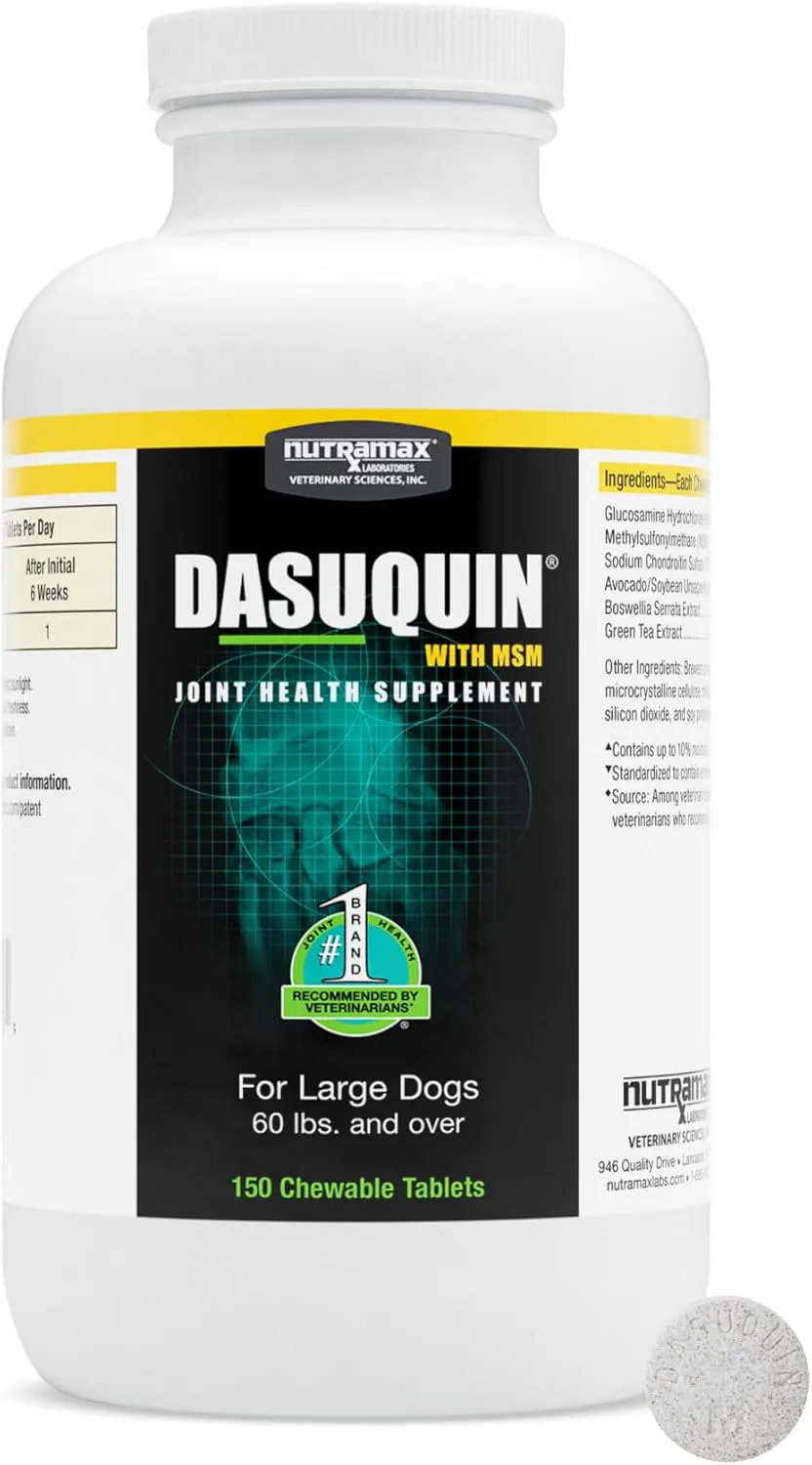 Nutramax Dasuquin with MSM Chewables,for Large Dog