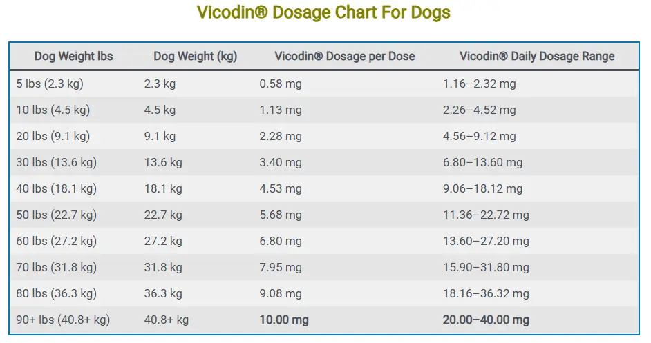 Vicodin® Dosage Chart For Dogs
