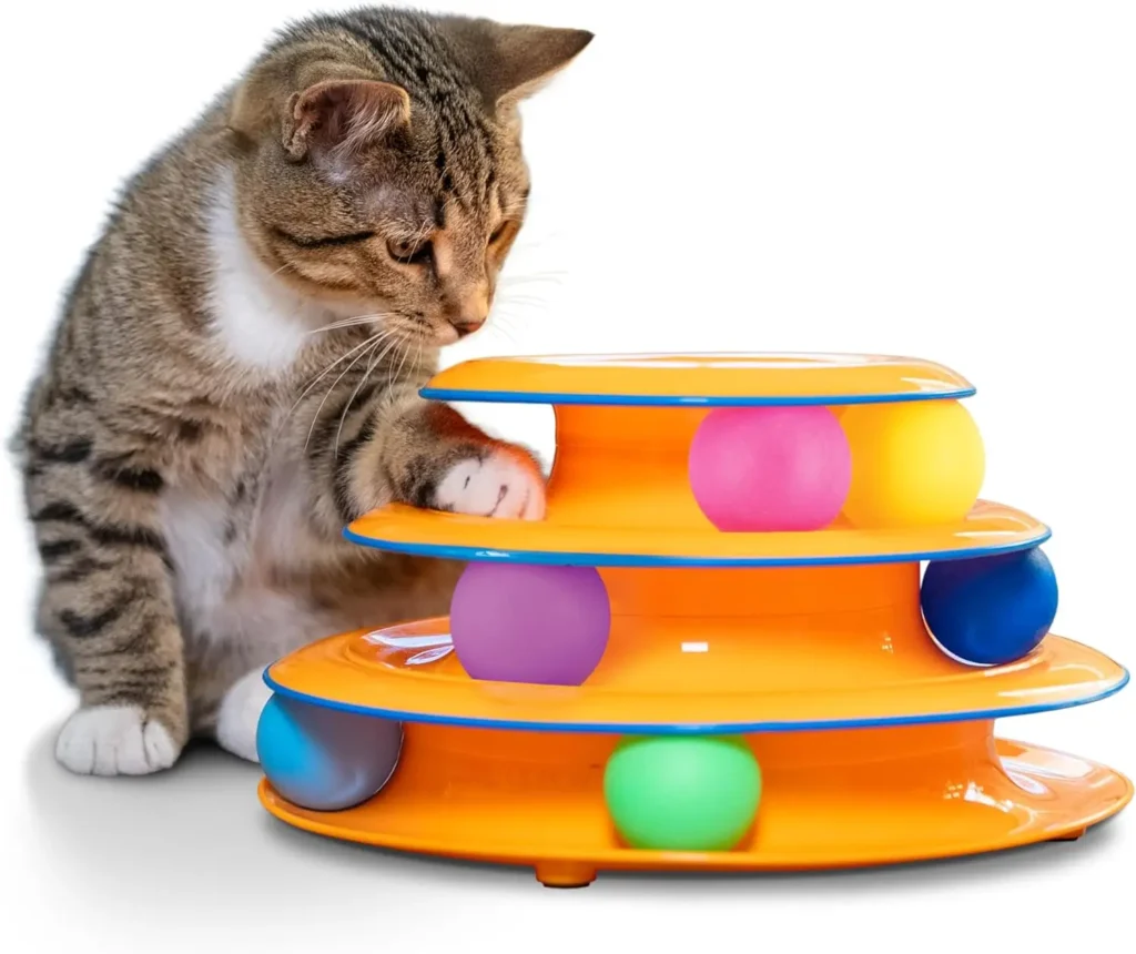 Cat Toy for Indoor Cats