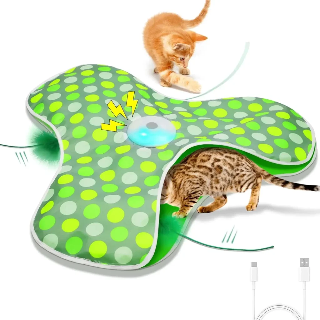 Cat Toy for Indoor Cats