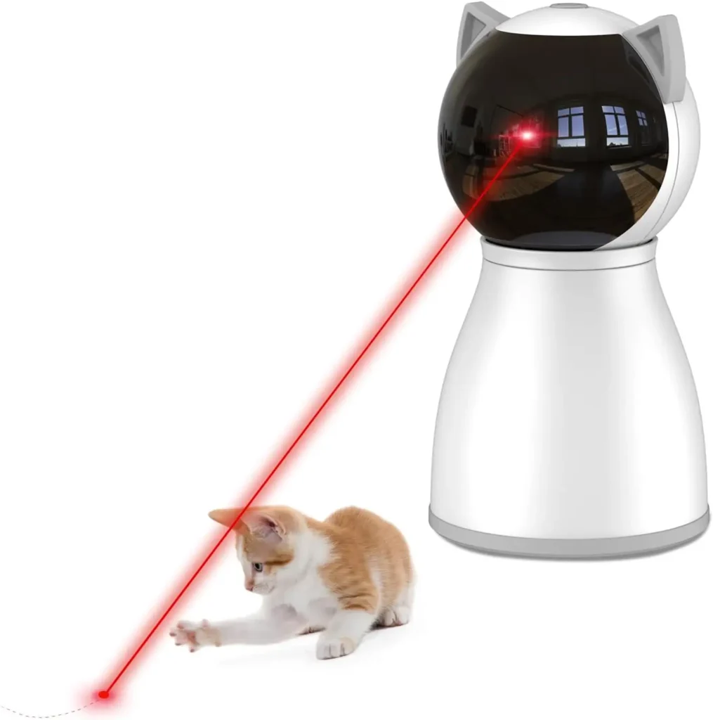 Cat Toy for Indoor Cats