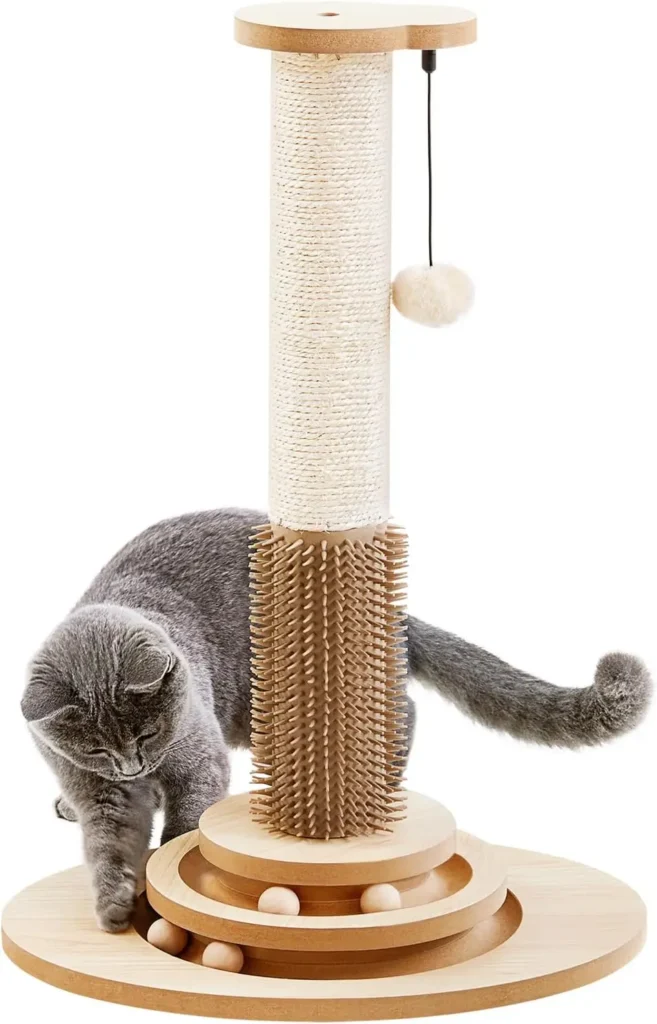 Cat Toy for Indoor Cats