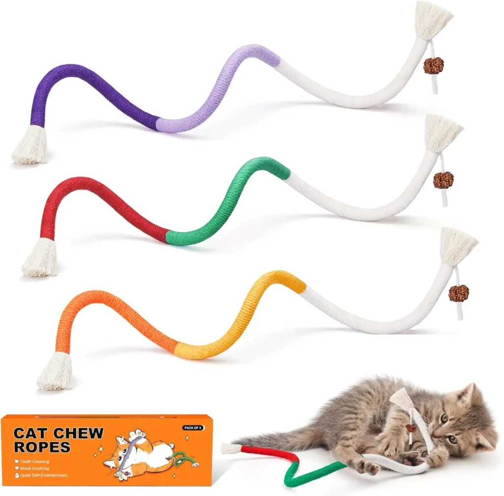 Cat Toy for Indoor Cats