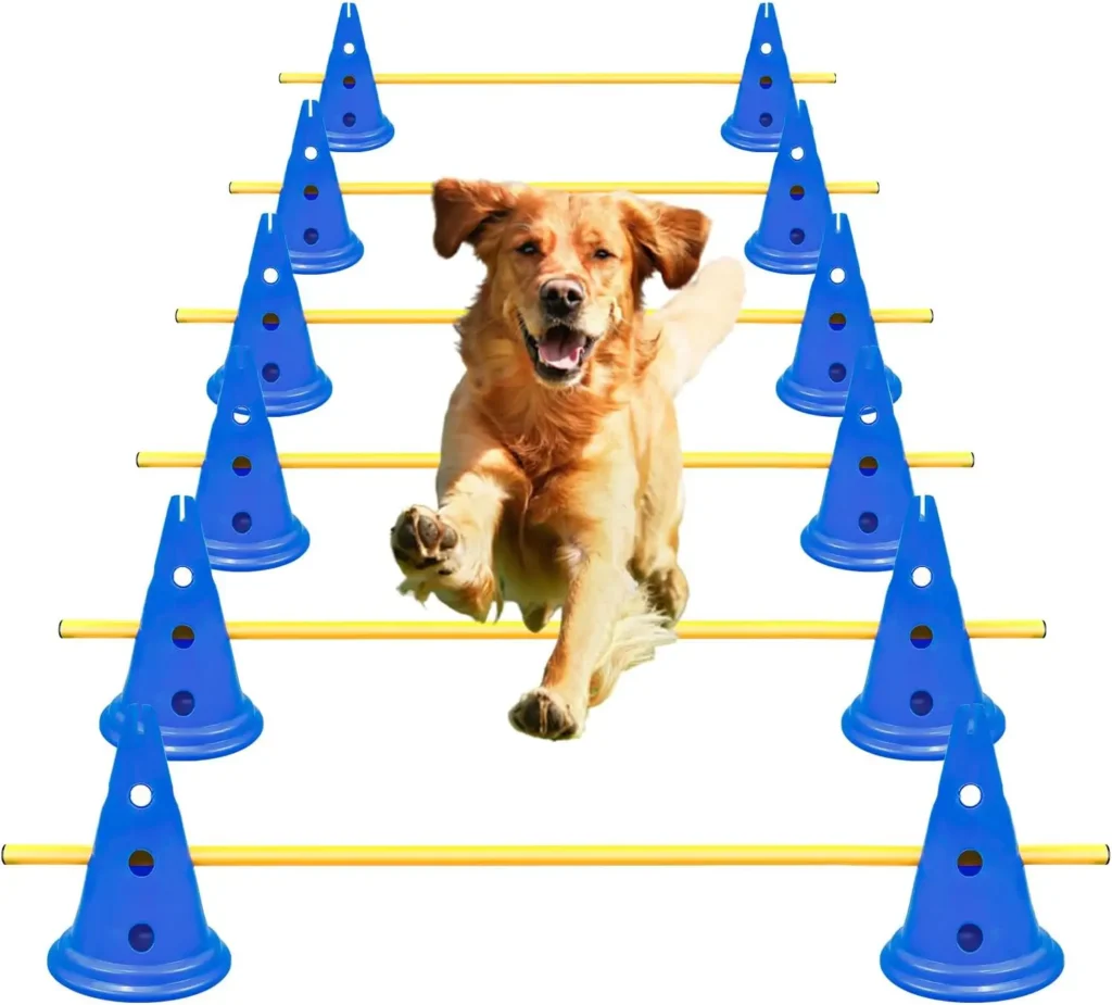 Dog Agility Equipment
