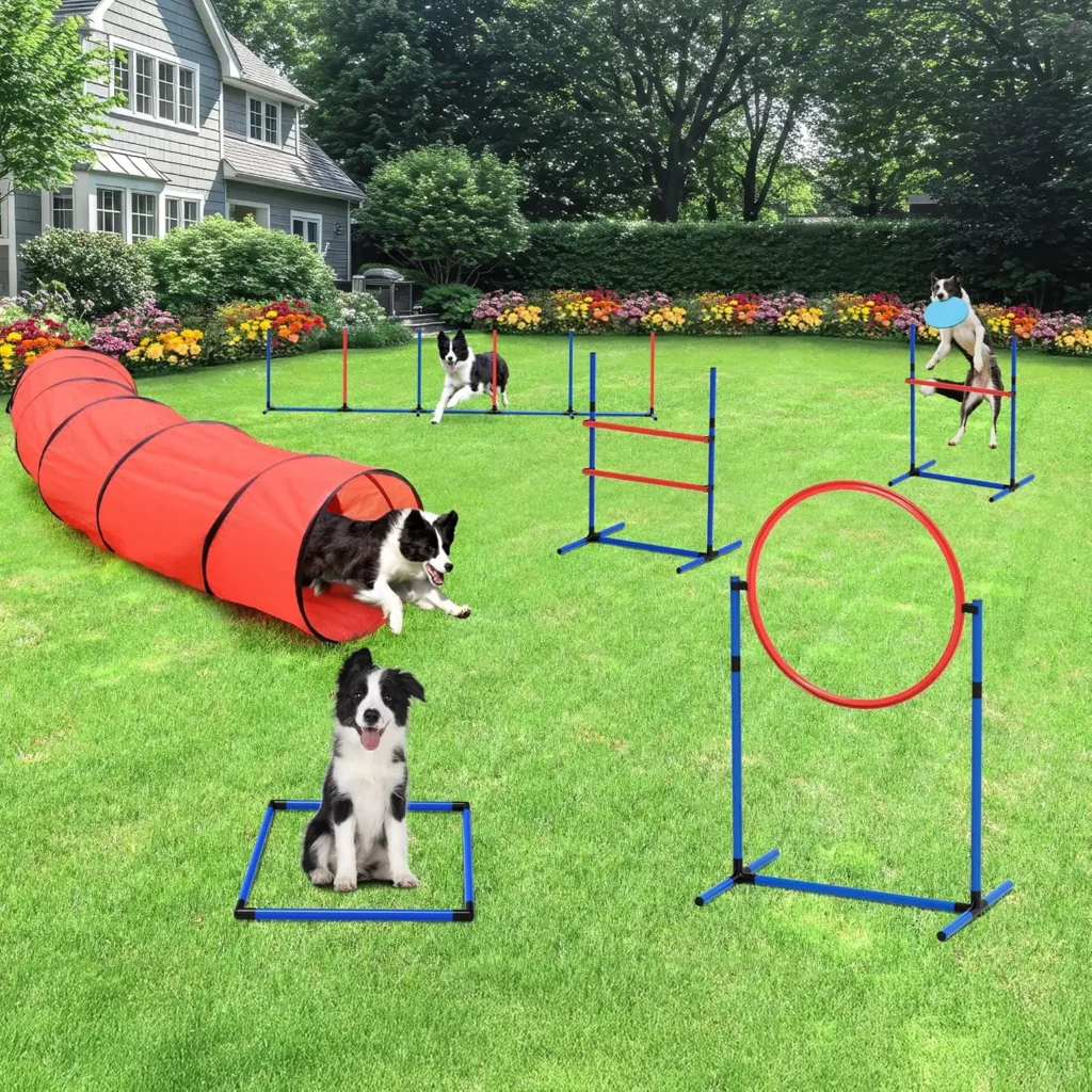 Dog Agility Equipment