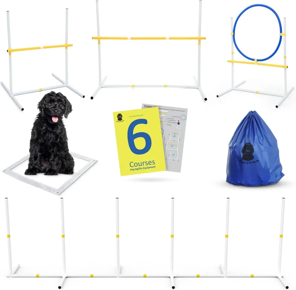 Dog Agility Equipment