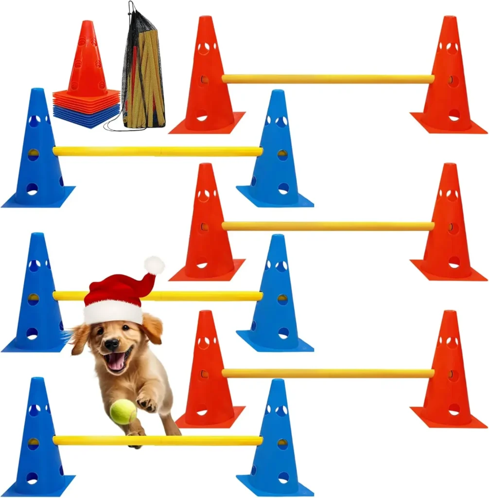 Dog Agility Equipment