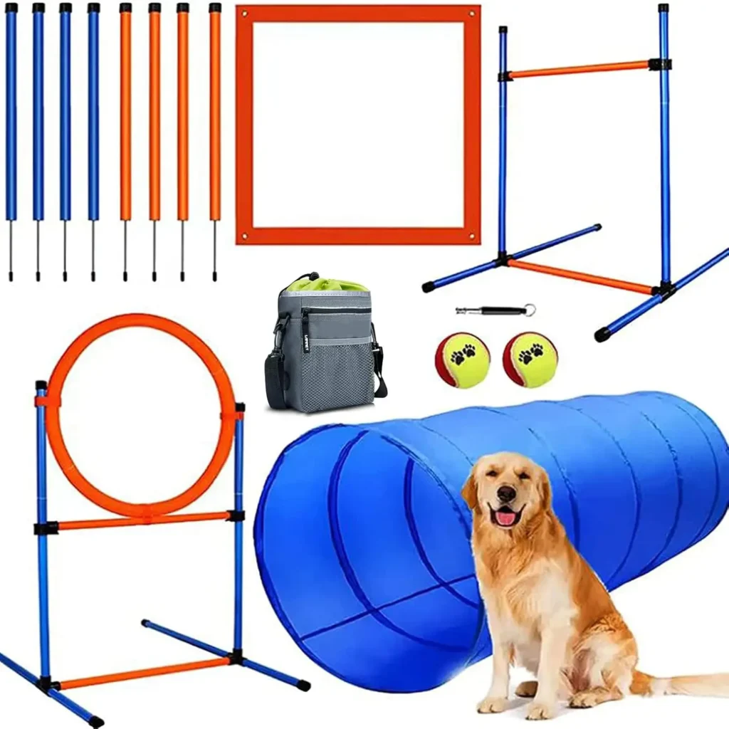 Dog Agility Equipment