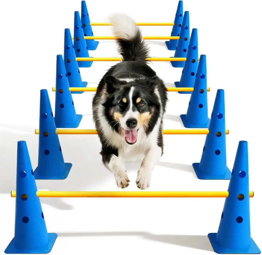 Dog Agility Equipment