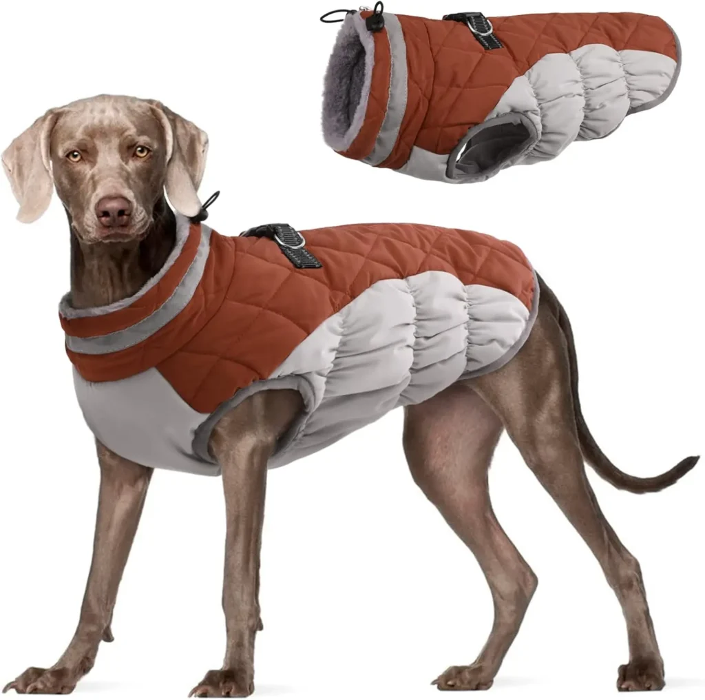 Dog Jacket