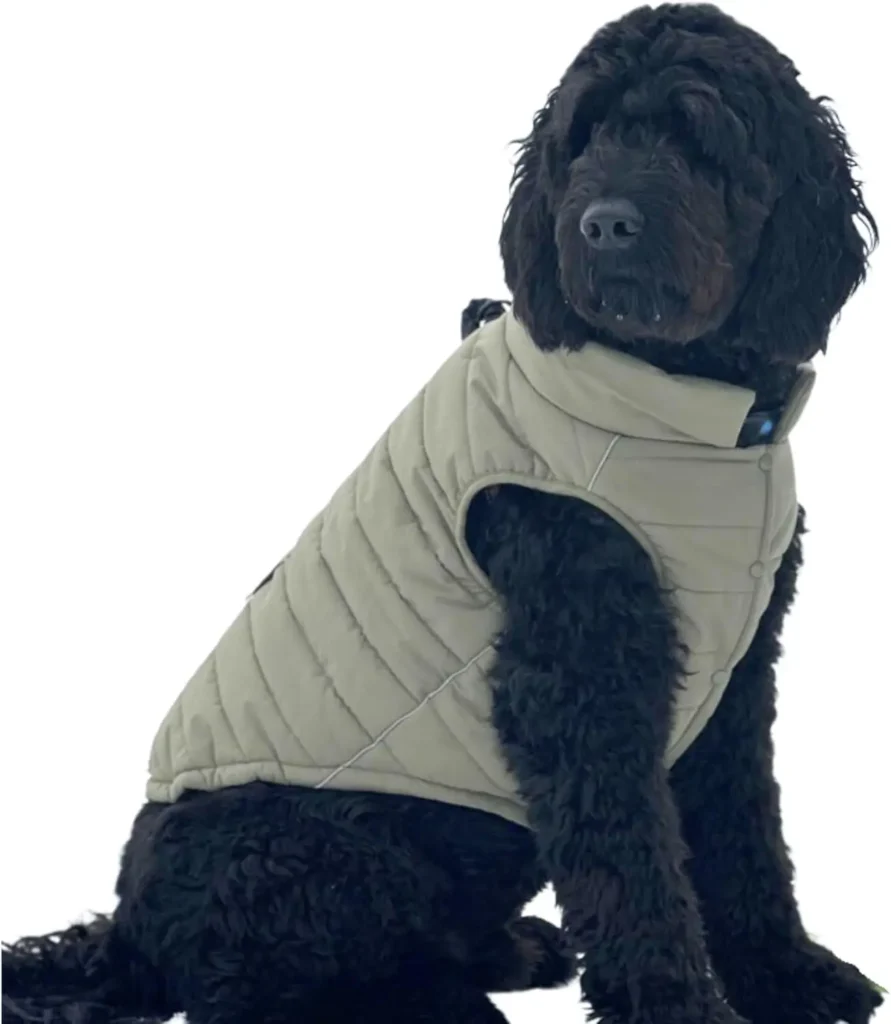 Dog Snow Jacket