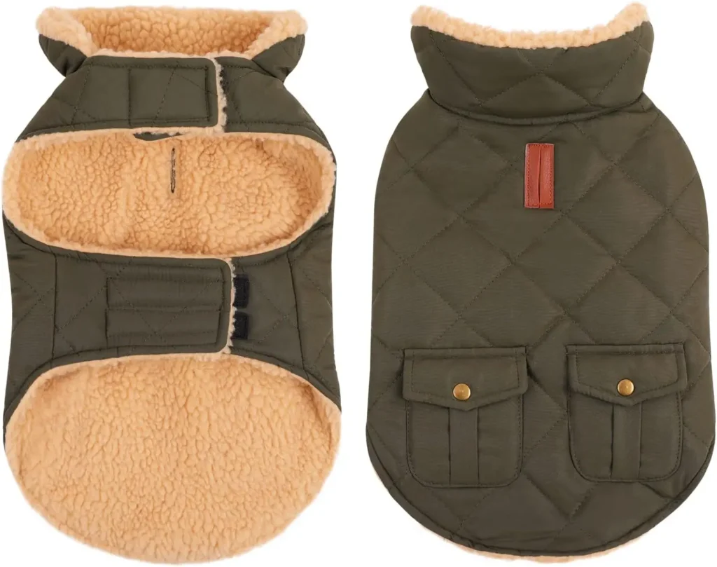 Dog Snow Jacket