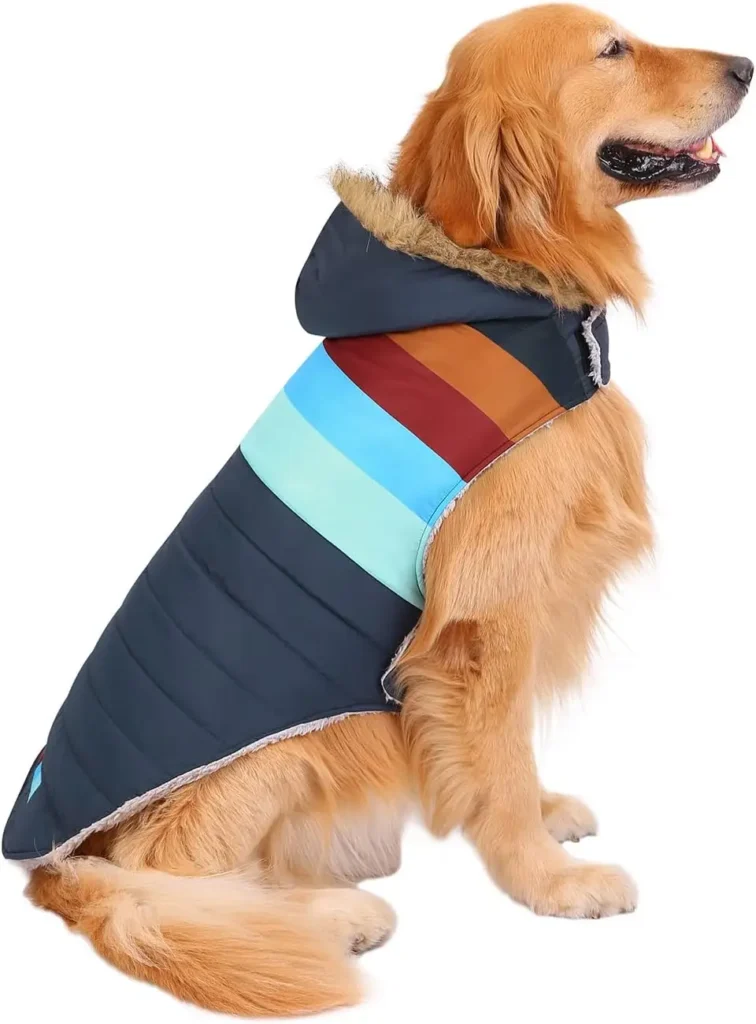Dog Snow Jacket