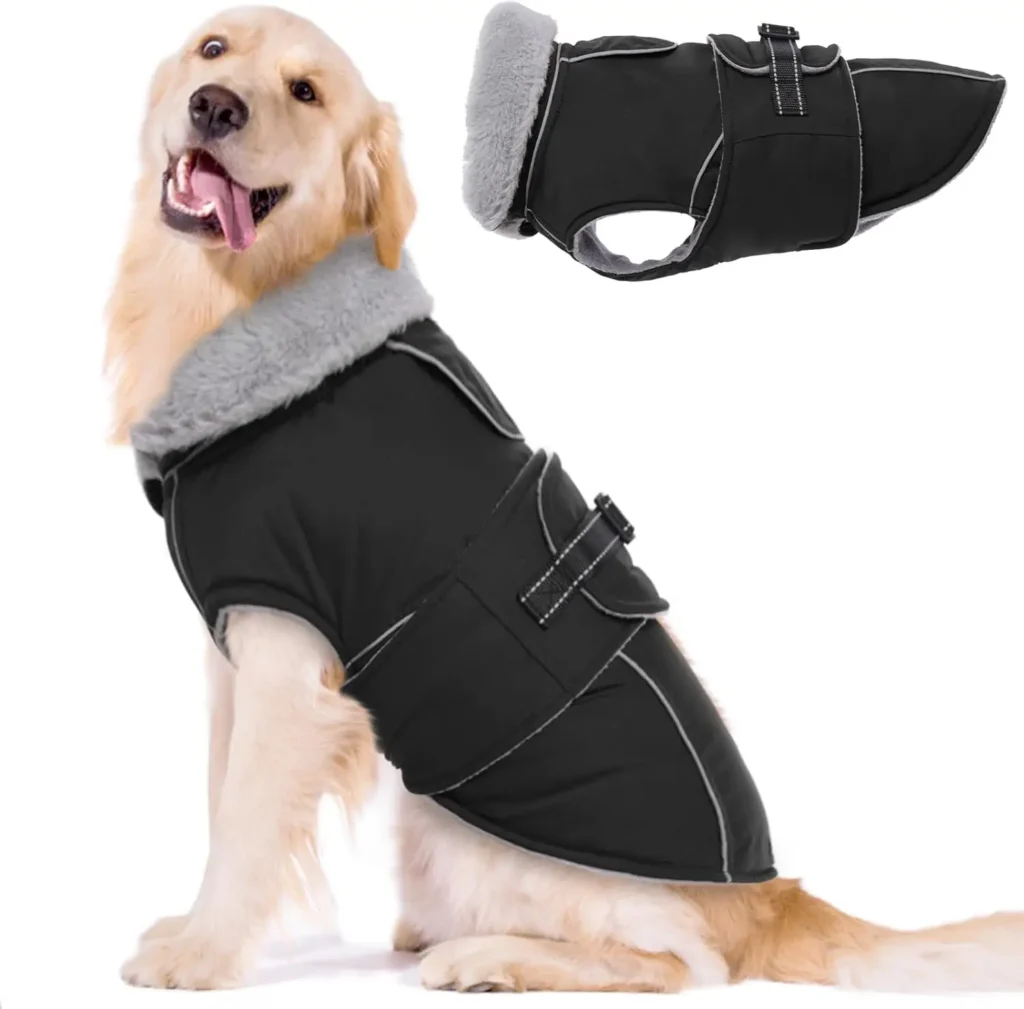 Dog Snow Jacket
