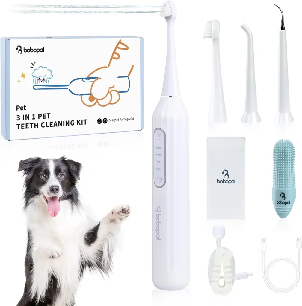 Dog Teeth Cleaning Tool