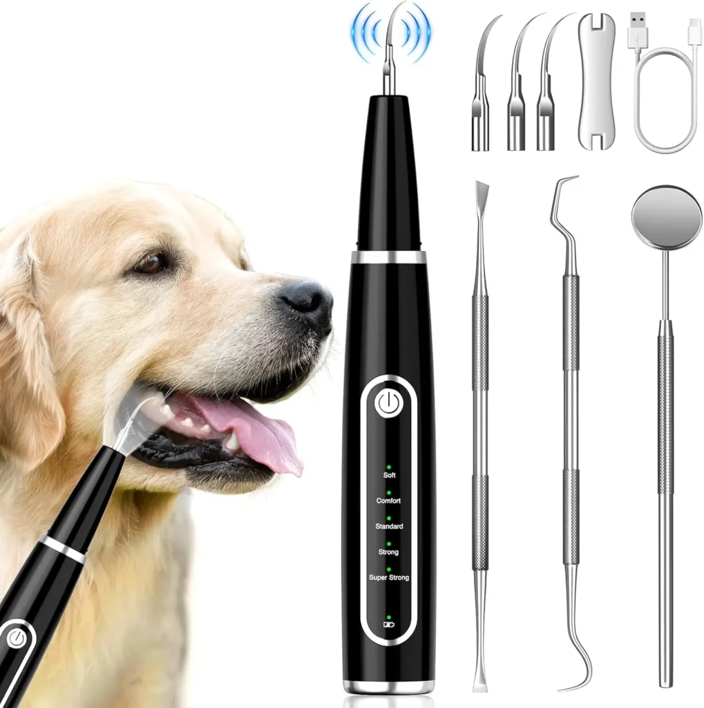 dog teeth cleaning tool