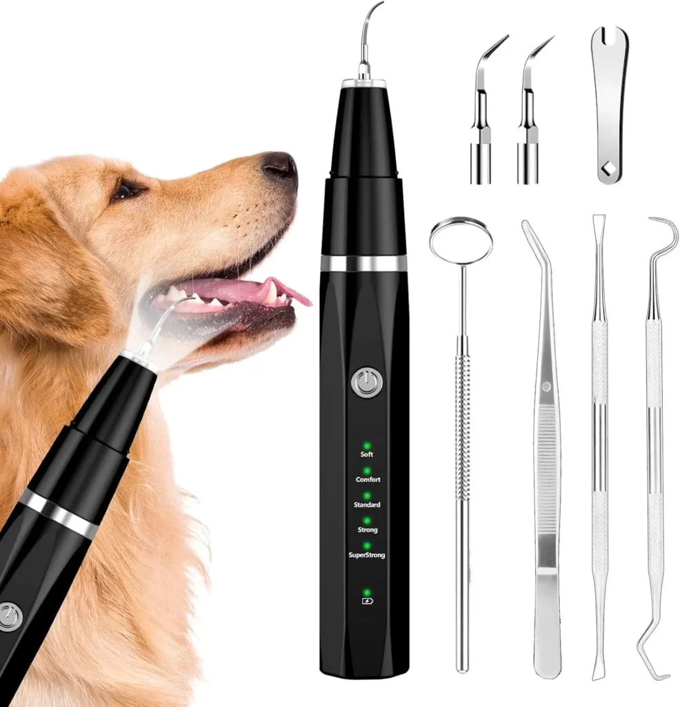 Dog Teeth Cleaning Tool