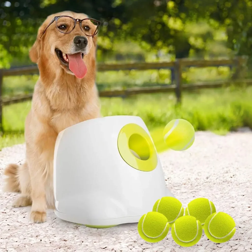 Interactive Toys for Dogs