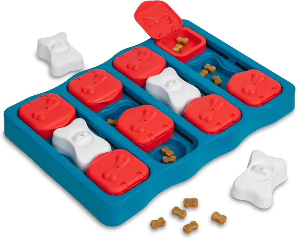 Nina Ottosson Dog Treat Puzzle