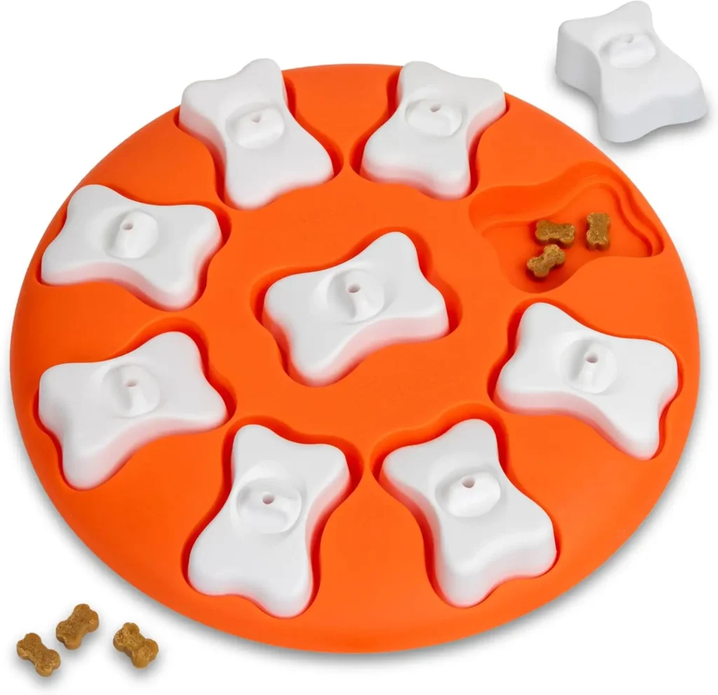 Nina Ottosson Dog Treat Puzzle