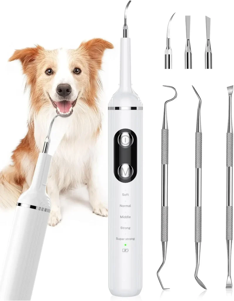 Tapeworm Medicine for Dogs