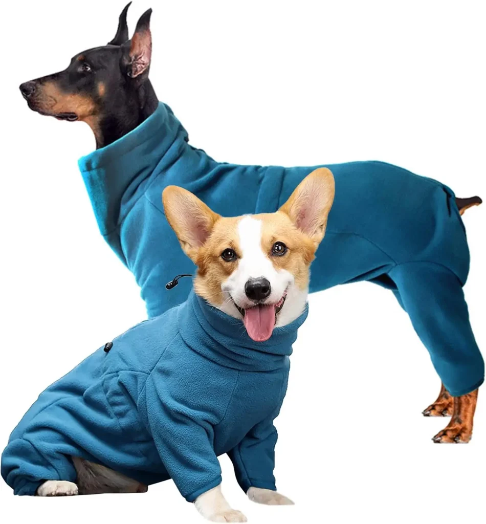 Winter Dog Apparel