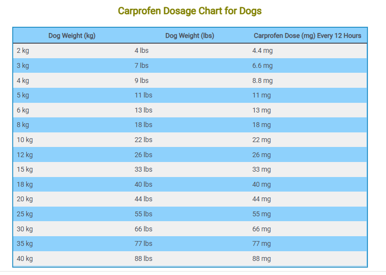 Carprofen Dosage for Dogs