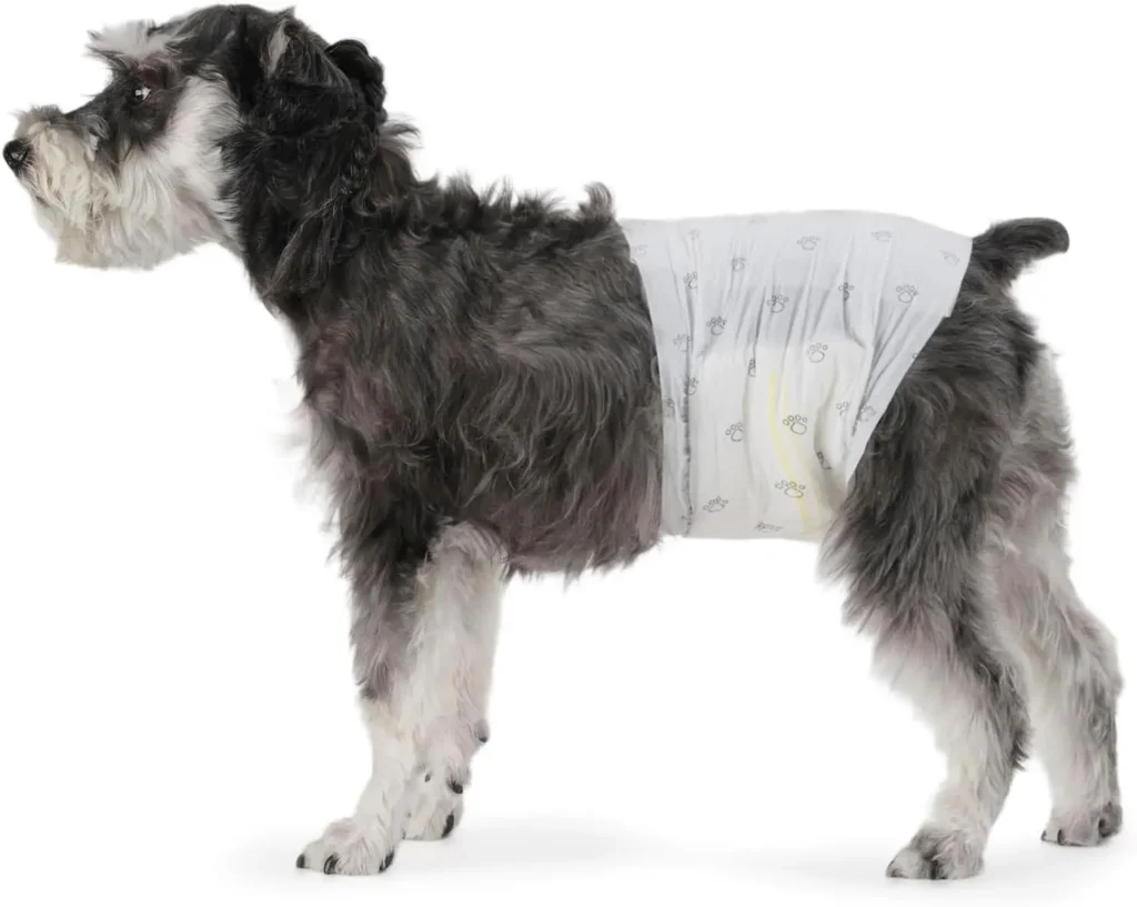 Dog Diapers