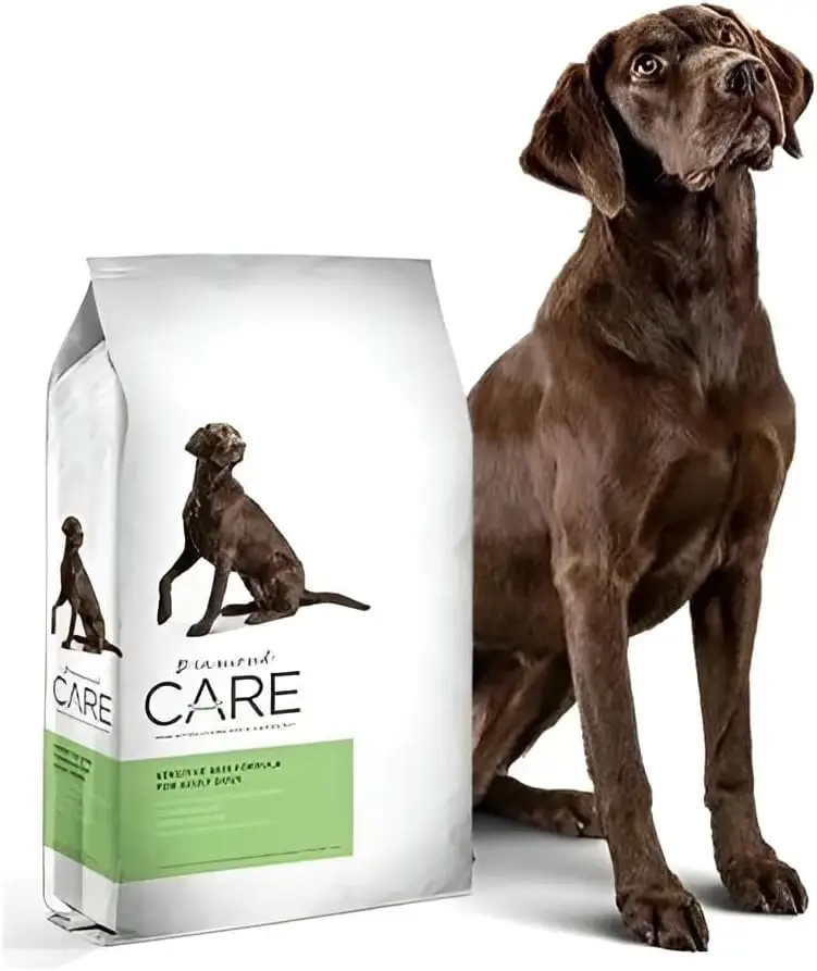 Dog Food for Skin Allergies