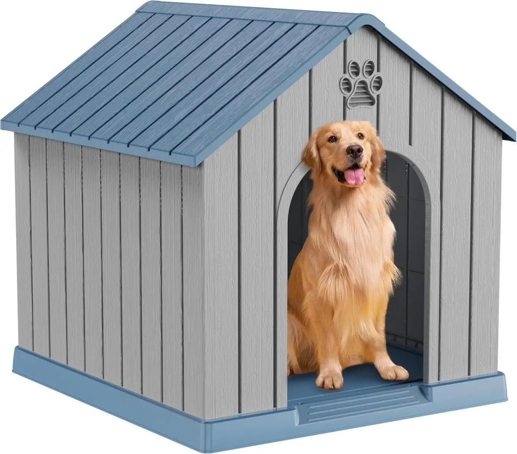 Dog House