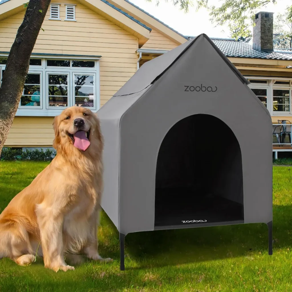 Dog House