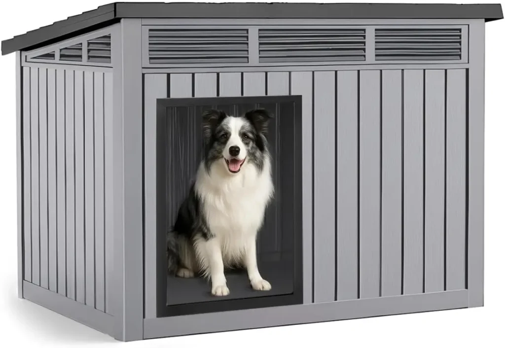 Dog House