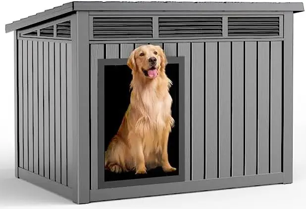 Dog House