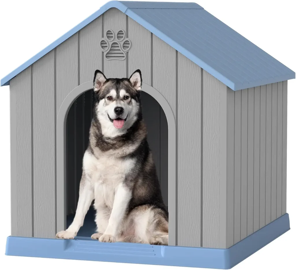Dog House
