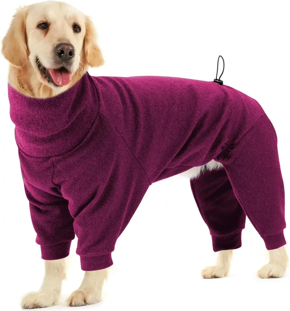 Large Dog Clothes