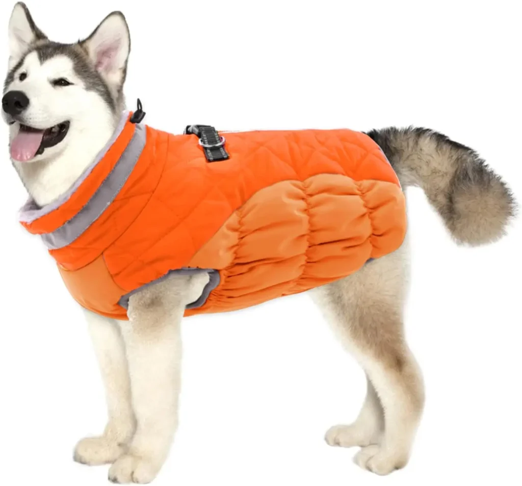 Large Dog Winter Coat