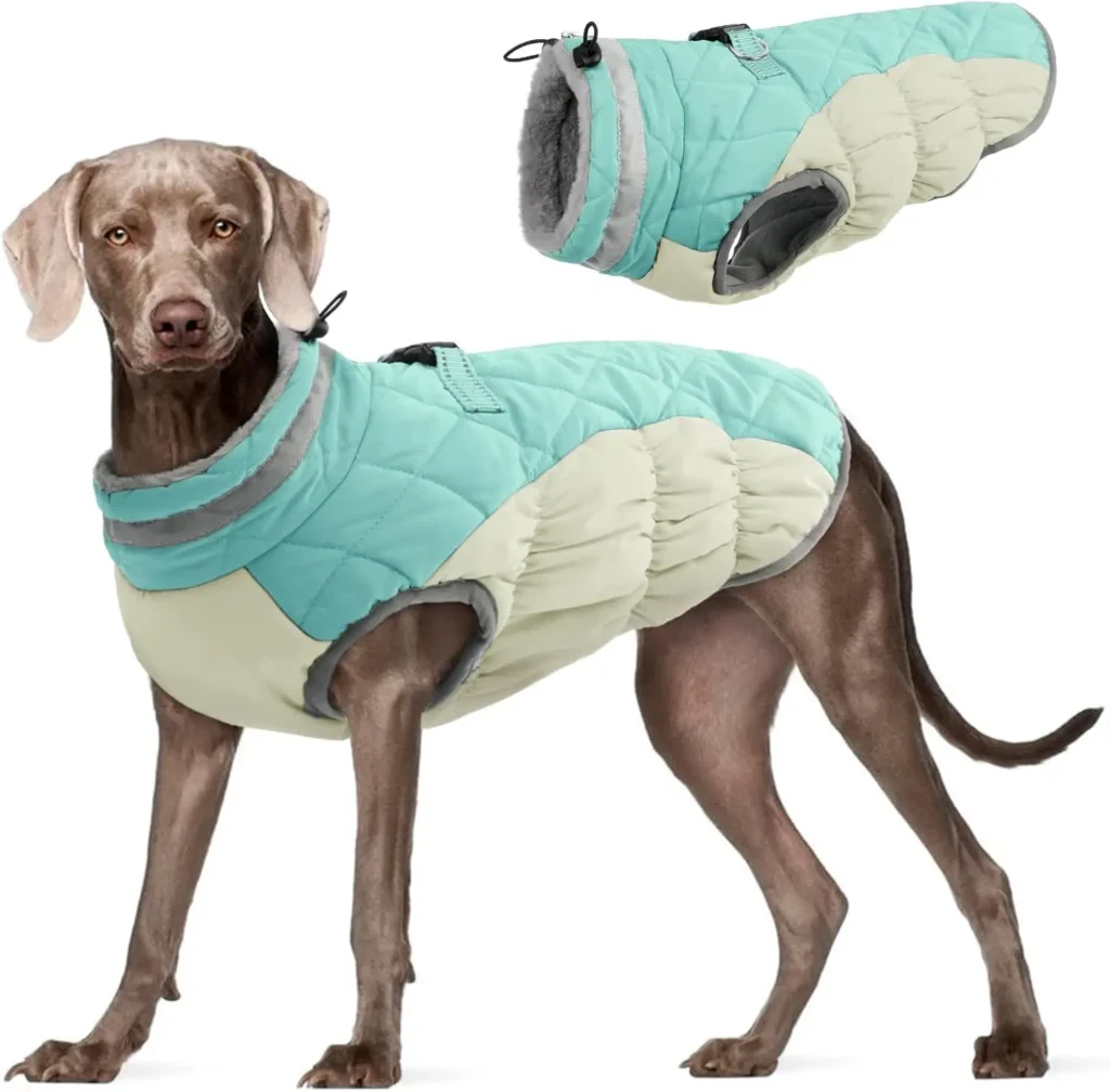 Large Dog Winter Coat