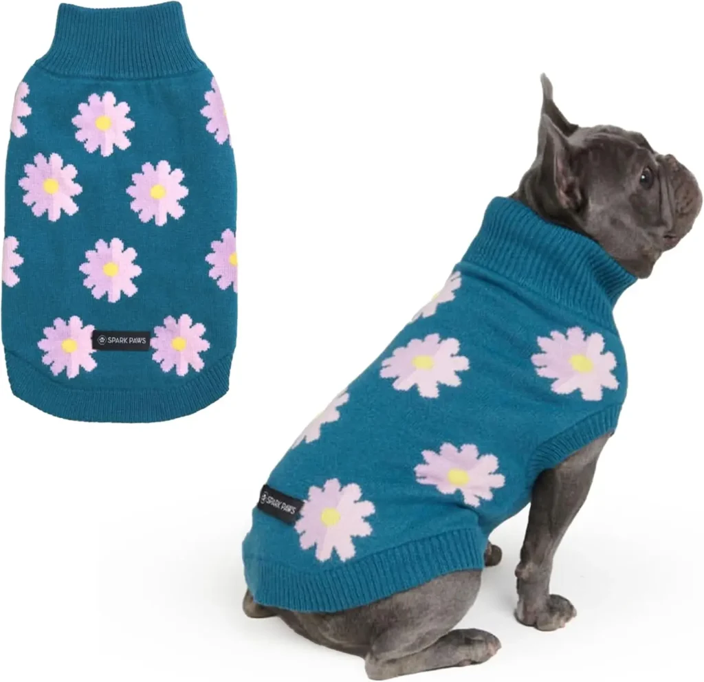 Pitbull Sweater