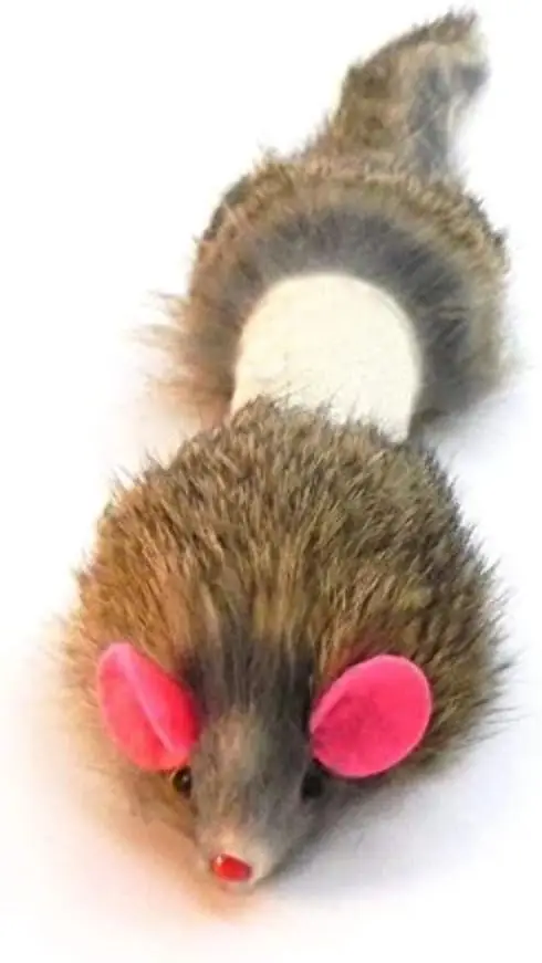 Weazel Balls for Dogs and Cats